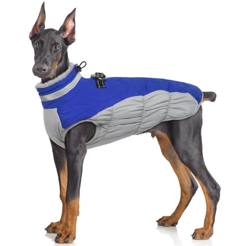 Hjumarayan Hundemantel Grosse Hunde - Hundemantel Winter Wintermantel Hund mit Geschirr Hundejacke Wasserdicht Hunde Mantel Gefüttert, Hundemantel Hunter Labrador (Blau XL) von Hjumarayan