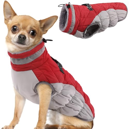 Hjumarayan Hundemantel für Kleine Mittelgroße Grosse Hunde, Hundemantel Winter Warme Hundejacke Wintermantel Hund Wasserdicht Hunde Mantel Gefüttert, Chihuahua Kleidung Winter (Rot XS) von Hjumarayan