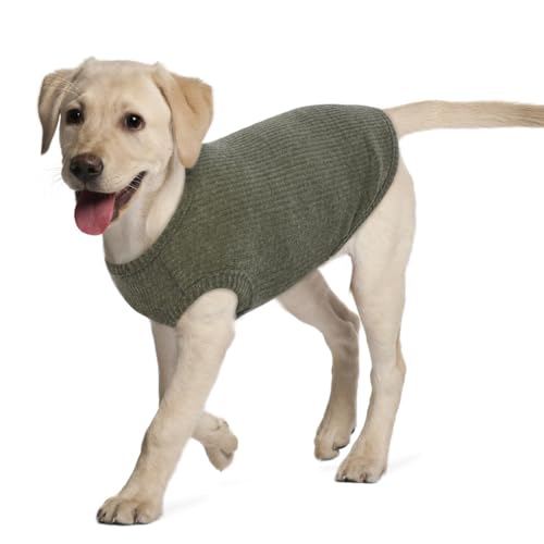 Hjumarayan Hundepullover - Waschbar Hundepullover Grosse Hunde Elastisch Dünn Hunde Pullover Gestreifte Hunde Shirt Elastisch Hundepulli für Mittelgroße Grosse Hunde (Grün XL) von Hjumarayan