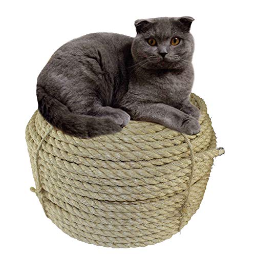 Sisalseil für Kratzbaum Hjumarayan Seil 8mm x 50m Natural Sisal Seil Mehrzweckseil Jutekordel für Katzen Kratzwand, Kratzbaum Zubehör, Gartendekoration DIY Handwerk Juteseil Sisalseil für Kratzbaum Hjumarayan Seil 8mm x 50m Natural Sisal Seil Mehrzweckseil Jutekordel für Katzen Kratzwand, Kratzbaum Zubehör, Gartendekoration DIY Handwerk Juteseil von Hjumarayan