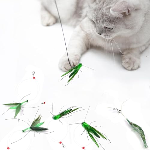 Hjvvr 5 x Katzenspielzeug, Katzenfederspielzeug, Katzenspielzeug, simulierte Insekten, Katzenspielzeug für Haustiere und Katzen (ohne Straße) von Hjvvr