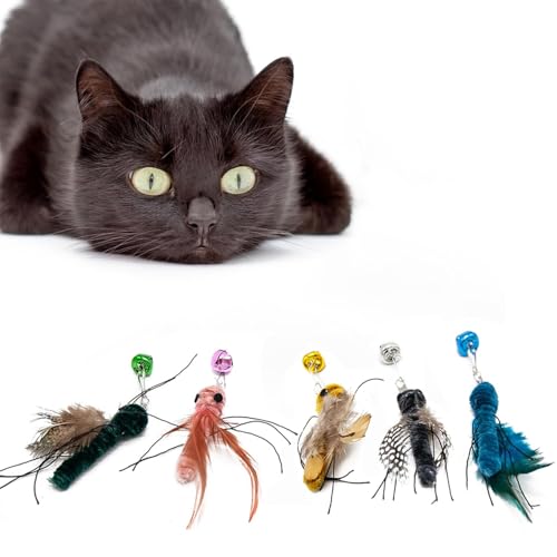 Hjvvr 5 Stück Katzenstab-Spielzeug-Nachfüllpackungen – interaktive Federaufsätze mit Glocken- und Insekten-Design, Teaser-Ersatz für Indoor-Katzen, Kätzchen von Hjvvr
