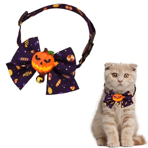 Hjvvr Halloween-Kürbis-Schleife Katzenhalsband, niedliches Halsband für Kätzchen, Welpen von Hjvvr