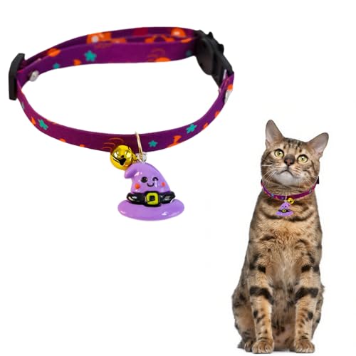 Hjvvr Halloween lila Hexenkatzenhalsband, Breakaway-Halsband für Kätzchen, Welpen von Hjvvr