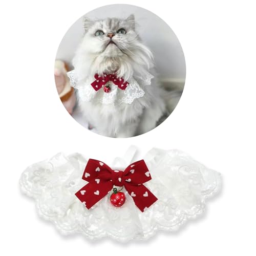 Hjvvr Katzenhut, Blume, handgefertigt, Hase, Hund, Strickmütze, gelbe Mütze für Geburtstag Hjvvr Katzenhut, Blume, handgefertigt, Hase, Hund, Strickmütze, gelbe Mütze für Geburtstag von Hjvvr