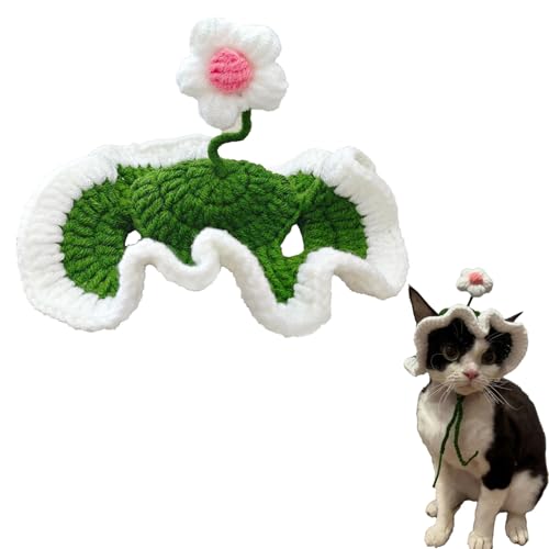 Hjvvr Katzenhut, Blume, handgefertigt, Hase, Hund, Strickmütze, grün, für Geburtstag, Weihnachten, Halloween, Party Hjvvr Katzenhut, Blume, handgefertigt, Hase, Hund, Strickmütze, grün, für Geburtstag, Weihnachten, Halloween, Party von Hjvvr
