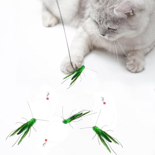 Hjvvr Katzenstab-Spielzeug, 3 Stück, Insekten-Nachbildung, Katzenspielzeug, Teaser-Zauberstab-Aufsatz mit Glocken, Federstraßen-Nachfüllung für Indoor-Kätzchen Hjvvr Katzenstab-Spielzeug, 3 Stück, Insekten-Nachbildung, Katzenspielzeug, Teaser-Zauberstab-Aufsatz mit Glocken, Federstraßen-Nachfüllung für Indoor-Kätzchen von Hjvvr