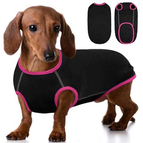 Hjyokuso Dackel Pullover - Fleece Hundepullover, Kleidung Für Kleine Hunde, Dachshund Sweater von Hjyokuso