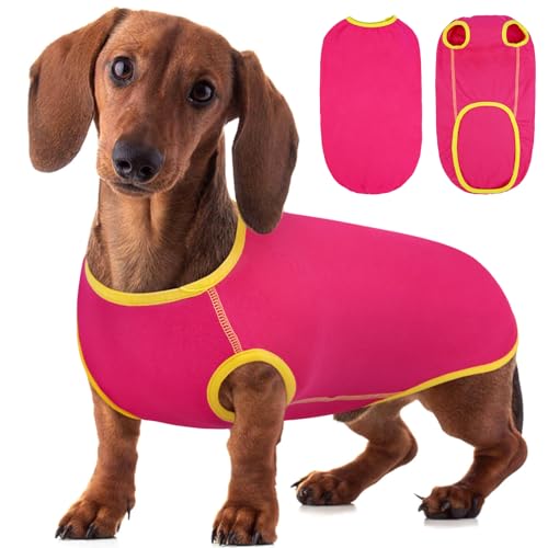 Hjyokuso Dackel Pullover, Pullover Für Dackel, Hundepullover Dackel, Fleece Pullover Hund, Dackel Kleidung, Dackel Pullover Für Hunde, Shirts Für Hunde, Hundepulli Für Kleine Hunde,Dachshund Sweater Hjyokuso Dackel Pullover, Pullover Für Dackel, Hundepullover Dackel, Fleece Pullover Hund, Dackel Kleidung, Dackel Pullover Für Hunde, Shirts Für Hunde, Hundepulli Für Kleine Hunde,Dachshund Sweater von Hjyokuso