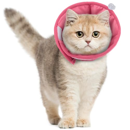 Hjyokuso Halskrause Katzen, Katzen Halskrause Nach Op, Halskragen Katze Weich, Leichtgewicht Katzenkragen Für Katzen, Nach Op und Verletzungen, Verhindert Lecken Von Wunden, Atmungsaktives (Blau, L) von Hjyokuso