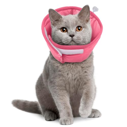 Hjyokuso Halskrause Katzen Leckschutz, Katzen Halskrause Nach Op, Halskragen Katze Weich, Leichtgewicht Katzenkragen Für Katzen, Nach Op Und Verletzungen, Verhindert Lecken Von Wunden (Blau, S) von Hjyokuso