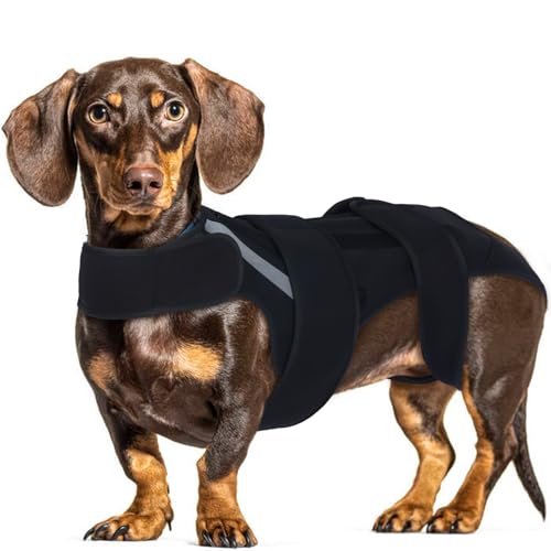 Hjyokuso Hunde Rückenbandage für kleine Hunde XS - Lendenwirbelstütze für IVDD, Rückenschmerzlinderung & Erholung nach Operationen - Bequeme & verstellbare Wirbelsäulenstützweste für Dackel Hjyokuso Hunde Rückenbandage für kleine Hunde XS - Lendenwirbelstütze für IVDD, Rückenschmerzlinderung & Erholung nach Operationen - Bequeme & verstellbare Wirbelsäulenstützweste für Dackel von Hjyokuso