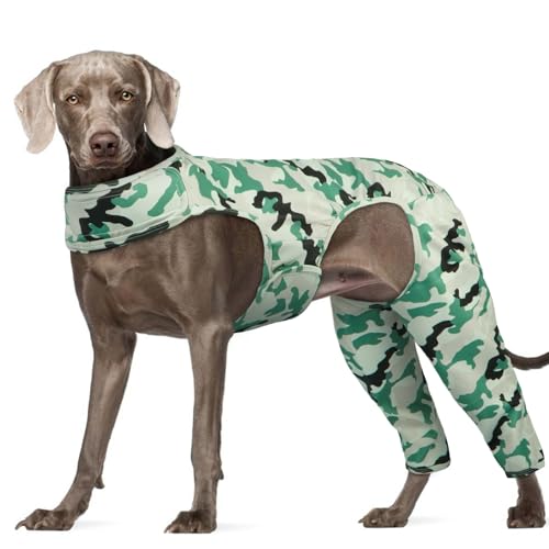 Hjyokuso Hundebody Nach Op, Hundebody Nach Op Mit Bein, Wundschutzanzüge für Hunde, Hunde Hinterbeinschutz, Anti-Wundlecken Op Body Hunde, E-Kragen Alternative für Hunde Hundeschenkel Schutz Bodysuit von Hjyokuso