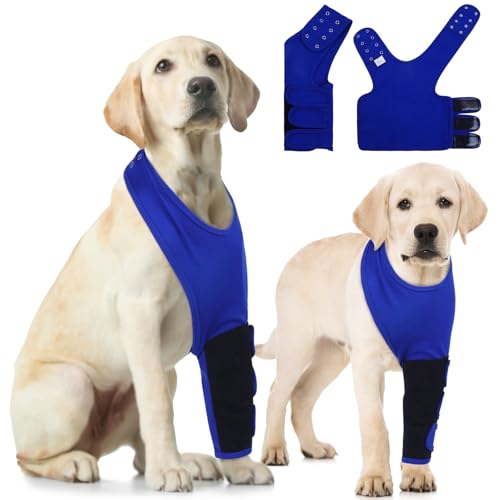 Hjyokuso Hundebody Nach Op Nur Linke Vorderbeine, Links Vorderbein Ärmel Für Hunde, Wundschutzanzüge Für Hunde, Ellbogenschoner Für Hunde, Recovery Sleeve Hund, Hund Schutzanzug Gegen Lecken - M Hjyokuso Hundebody Nach Op Nur Linke Vorderbeine, Links Vorderbein Ärmel Für Hunde, Wundschutzanzüge Für Hunde, Ellbogenschoner Für Hunde, Recovery Sleeve Hund, Hund Schutzanzug Gegen Lecken - M von Hjyokuso