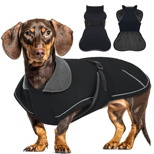 Hjyokuso Hundemantel Dackel, Winddichter Wasserdichter Wintermantel Für Dackel Hunde, Hundejacke Für Kleine Hunde S, Hundemantel Winter Mit Bauchschutz Und Leinenloch, Winterjacken Für Hunde-Schwarz Hjyokuso Hundemantel Dackel, Winddichter Wasserdichter Wintermantel Für Dackel Hunde, Hundejacke Für Kleine Hunde S, Hundemantel Winter Mit Bauchschutz Und Leinenloch, Winterjacken Für Hunde-Schwarz von Hjyokuso