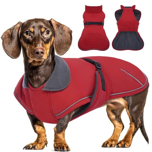 Hjyokuso Hundemantel Dackel, Winddichter Wasserdichter Wintermantel Für Mittelgroße Hunde, Hundejacke Mit Bauchschutz Und Leinenloch, Winterjacken Für Hunde - Rot von Hjyokuso