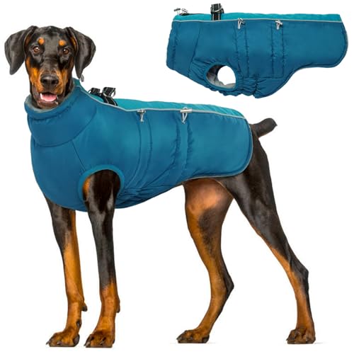 Hjyokuso Hundemantel Wasserdicht, Hundejacke Winter, Hundemantel Mit Geschirr Für Kleine Mittelgroße Grosse Hunde, Winddichte Wintermantel Hund Mit Reflektorstreifen Und ReißVerschluss - XXL Hjyokuso Hundemantel Wasserdicht, Hundejacke Winter, Hundemantel Mit Geschirr Für Kleine Mittelgroße Grosse Hunde, Winddichte Wintermantel Hund Mit Reflektorstreifen Und ReißVerschluss - XXL von Hjyokuso