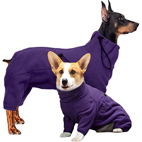 Hjyokuso Hundemantel Winter, Hundejacke, Weicher Fleece Hundepullover FüR Kleine MittelgroßE Grosse Hunde, Winddichte Haustierkleidung Outfit Mit ReißVerschluss, Chihuahua Kleidung (XXS-3Xl) von Hjyokuso