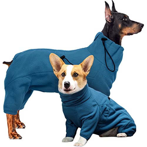 Hjyokuso Hundemantel Winter, Hundejacke, Weicher Fleece Hundepullover FüR Kleine MittelgroßE Grosse Hunde, Winddichte Haustierkleidung Outfit Mit ReißVerschluss, Chihuahua Kleidung (XXS-3Xl) von Hjyokuso