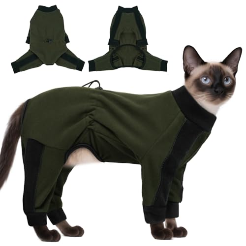 Hjyokuso Katzenbekleidung Für Katzen, Katzenbody Nach Op - Schutz Nach Operation, Hält Sofa Sauber, Fellpflege – Bequem, Elastisch, Fellklebend - Grün M Hjyokuso Katzenbekleidung Für Katzen, Katzenbody Nach Op - Schutz Nach Operation, Hält Sofa Sauber, Fellpflege – Bequem, Elastisch, Fellklebend - Grün M von Hjyokuso