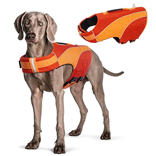 Hjyokuso Schwimmweste Hund, Hundeschwimmweste, Hunde Schwimmhilfe, Ripstop & Reflektierende, Größenverstellbar mit Starkem Auftrieb und Rettungsgriff zum Schwimmen, Bootfahren und Kanufahren (Rot L) von Hjyokuso