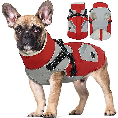 Hjyokuso Wasserdichter Hundemantel, Hundejacke mit Geschirr, Hundejacken für kleine Mittel Große Hunde, Winddichte Haustierkleidung Outfit mit Reflektierender Streifen und Reißverschluss - Rot M von Hjyokuso