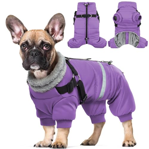 Hjyokuso Wasserdichter Hundemantel, Hundejacke mit Geschirr, Wintermantel Hund für kleine Mittel Große Hunde, Winddichte Winterjacke Hund Outfit mit Reflektierender Streifen und Reißverschluss S-XL Hjyokuso Wasserdichter Hundemantel, Hundejacke mit Geschirr, Wintermantel Hund für kleine Mittel Große Hunde, Winddichte Winterjacke Hund Outfit mit Reflektierender Streifen und Reißverschluss S-XL von Hjyokuso