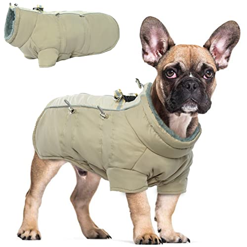 Hjyokuso Wasserdichter Hundemantel Winter Warme Jacke, Hundejacken für kleine Mittel Große Hunde, Hundepullover, Winddichte Wintermantel Hund mit Reflektierender Streifen und Reißverschluss XS Hjyokuso Wasserdichter Hundemantel Winter Warme Jacke, Hundejacken für kleine Mittel Große Hunde, Hundepullover, Winddichte Wintermantel Hund mit Reflektierender Streifen und Reißverschluss XS von Hjyokuso