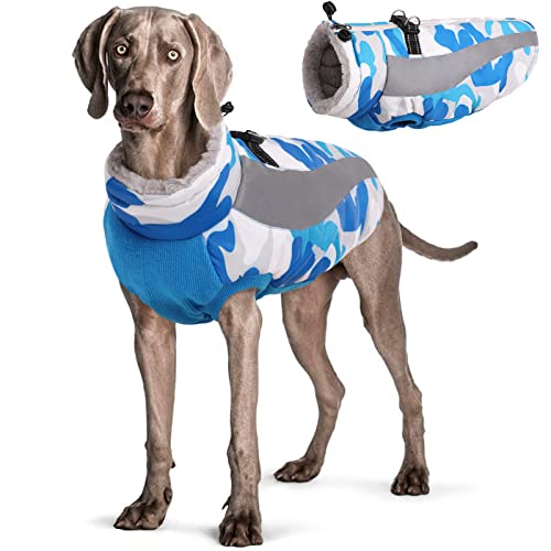 Hjyokuso Hundemantel Wasserdicht, Hunde Wintermantel, Hundejacke für Kleine Mittel Große Hunde, Winddichte Hundekleidung Winterjacke mit Reflektierender Streifen und Reißverschluss - Blau L von Hjyokuso