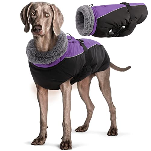 Wasserdichter Hundemantel Winter Warme Hundejacke, Hundebekleidung Outfit für kleine mittel große Hunde, Hundepullover mit Sicheren Reflexstreifen für Labrador Chihuahua Französische Bulldogge von Hjyokuso