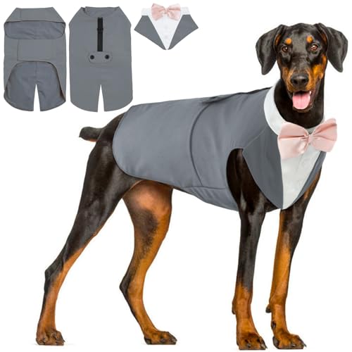 Hjyokuso Hund Smoking Anzug & Bandana Set, Hund Hochzeit Anzug, Hundekostüm für Kleine, Mittlere und Große Hunde, Hundekleidung für Hochzeit, Geburtstage, Partys, Weihnachten und Halloween - Grau L von Hjyokuso