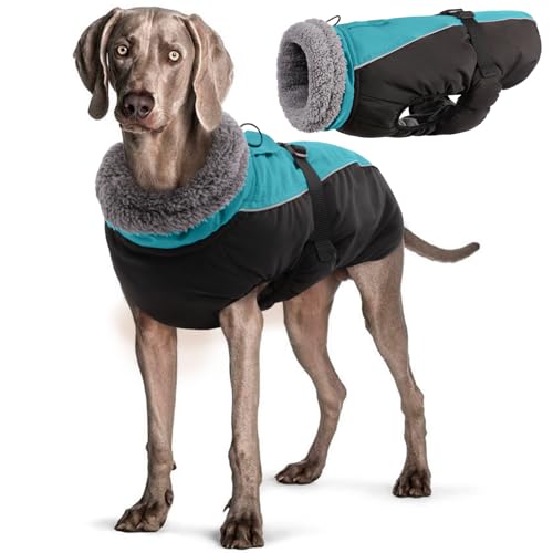 Wasserdichter Hundemantel Winter Warme Hundejacke, Hundebekleidung Outfit für kleine mittel große Hunde, Hundepullover mit Sicheren Reflexstreifen für Labrador Chihuahua Französische Bulldogge Wasserdichter Hundemantel Winter Warme Hundejacke, Hundebekleidung Outfit für kleine mittel große Hunde, Hundepullover mit Sicheren Reflexstreifen für Labrador Chihuahua Französische Bulldogge von Hjyokuso