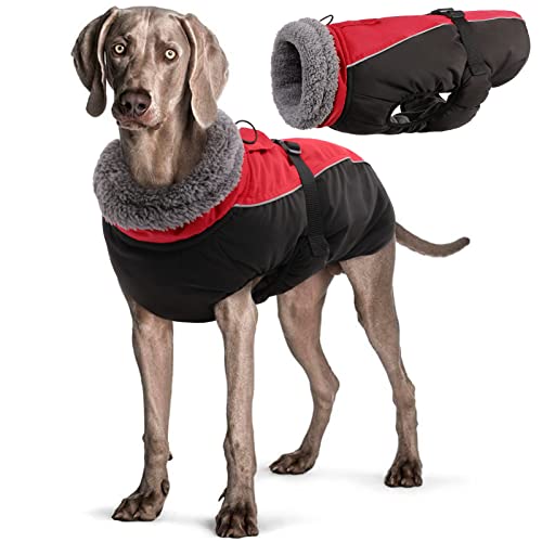 Wasserdichter Hundemantel Winter Warme Hundejacke, Hundebekleidung Outfit für kleine mittel große Hunde, Hundepullover mit Sicheren Reflexstreifen für Labrador Chihuahua Französische Bulldogge von Hjyokuso