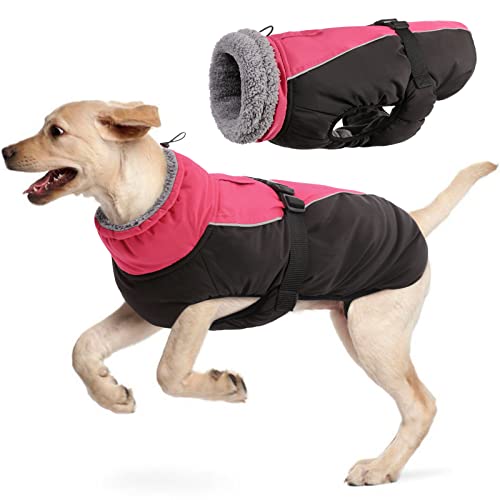 Wasserdichter Hundemantel Winter Warme Hundejacke, Hundebekleidung Outfit für kleine mittel große Hunde, Hundepullover mit Sicheren Reflexstreifen für Labrador Chihuahua Französische Bulldogge von Hjyokuso