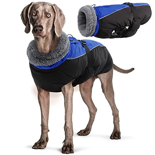 Wasserdichter Hundemantel Winter Warme Hundejacke, Hundebekleidung Outfit für kleine mittel große Hunde, Hundepullover mit Sicheren Reflexstreifen für Labrador Chihuahua Französische Bulldogge von Hjyokuso