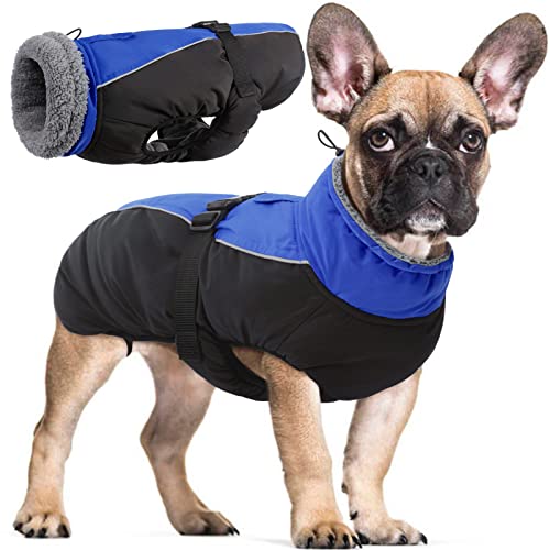 Wasserdichter Hundemantel Winter Warme Hundejacke, Hundebekleidung Outfit für kleine mittel große Hunde, Hundepullover mit Sicheren Reflexstreifen für Labrador Chihuahua Französische Bulldogge Wasserdichter Hundemantel Winter Warme Hundejacke, Hundebekleidung Outfit für kleine mittel große Hunde, Hundepullover mit Sicheren Reflexstreifen für Labrador Chihuahua Französische Bulldogge von Hjyokuso