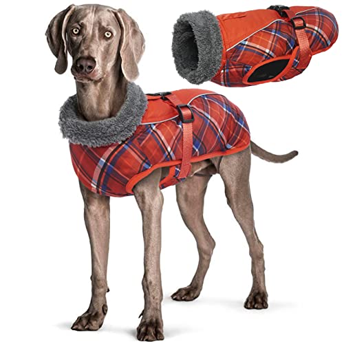 Wasserdichter Hundemantel Winter Warme Hundejacke, Hundebekleidung Outfit für kleine mittel große Hunde, Hundepullover mit Sicheren Reflexstreifen für Labrador Chihuahua Französische Bulldogge Wasserdichter Hundemantel Winter Warme Hundejacke, Hundebekleidung Outfit für kleine mittel große Hunde, Hundepullover mit Sicheren Reflexstreifen für Labrador Chihuahua Französische Bulldogge von Hjyokuso