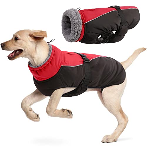 Wasserdichter Hundemantel Winter Warme Hundejacke, Hundebekleidung Outfit für kleine mittel große Hunde, Hundepullover mit Sicheren Reflexstreifen für Labrador Chihuahua Französische Bulldogge Wasserdichter Hundemantel Winter Warme Hundejacke, Hundebekleidung Outfit für kleine mittel große Hunde, Hundepullover mit Sicheren Reflexstreifen für Labrador Chihuahua Französische Bulldogge von Hjyokuso