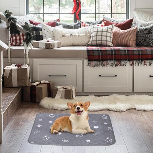 Hlagmix Hundetoilettenmatten | Hunde Urin Trainingsunterlagen | rutschfeste Waschbare Boden Schutz Matten Für Hund Katze Frettchen Hamster Käfig Stubenreinheit Hlagmix Hundetoilettenmatten | Hunde Urin Trainingsunterlagen | rutschfeste Waschbare Boden Schutz Matten Für Hund Katze Frettchen Hamster Käfig Stubenreinheit von Hlagmix