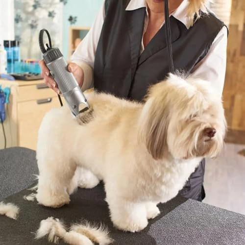 Hlennotor Klingenset Zur Fellpflege f¨¹r Hunde, Kompatibel mit f¨¹r OsterA5, Classic 76, Star-, OutlawClippers - Abnehmbare Klingen Hlennotor Klingenset Zur Fellpflege f¨¹r Hunde, Kompatibel mit f¨¹r OsterA5, Classic 76, Star-, OutlawClippers - Abnehmbare Klingen von Hlennotor
