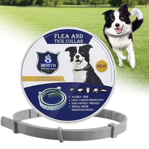 Halsband für Hunde,Wasserdicht und verstellbar,für kleine Hunde und Katzen,bis zu 8 Monate Schützen mit 100% natürlichen inhaltsstoffen(Grau) von HmLtd