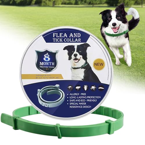 Halsband für Hunde,Wasserdicht und verstellbar,für kleine Hunde und Katzen,bis zu 8 Monate Schützen mit 100% natürlichen inhaltsstoffen(Grün) von HmLtd