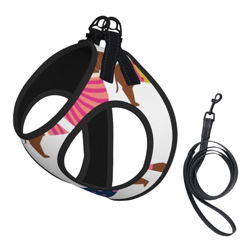 Dackel Roter Mantel Hunderasse Haustier Muster Pullover, Haustiergeschirr, Verstellbares reflektierendes Hundegeschirr, Haustierleinenweste,L von Hnnkloy