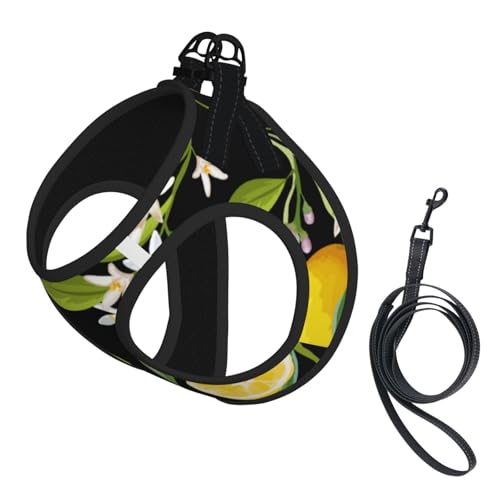 Gelbe Zitrone, Haustiergeschirr, Verstellbares reflektierendes Hundegeschirr, Haustierleinenweste,M Gelbe Zitrone, Haustiergeschirr, Verstellbares reflektierendes Hundegeschirr, Haustierleinenweste,M von Hnnkloy