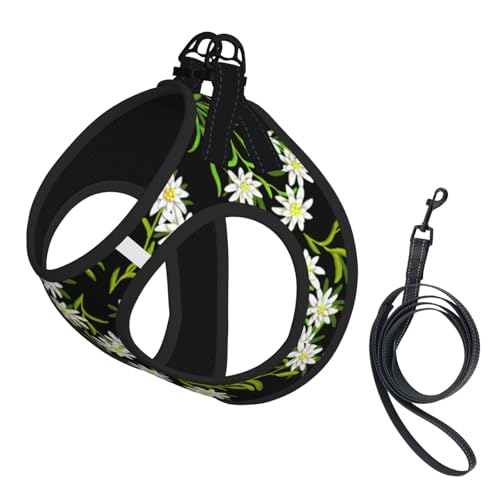 Schweizer Alpen-Edelweiß-Blume, Haustiergeschirr, Verstellbares reflektierendes Hundegeschirr, Haustierleinenweste,L Schweizer Alpen-Edelweiß-Blume, Haustiergeschirr, Verstellbares reflektierendes Hundegeschirr, Haustierleinenweste,L von Hnnkloy