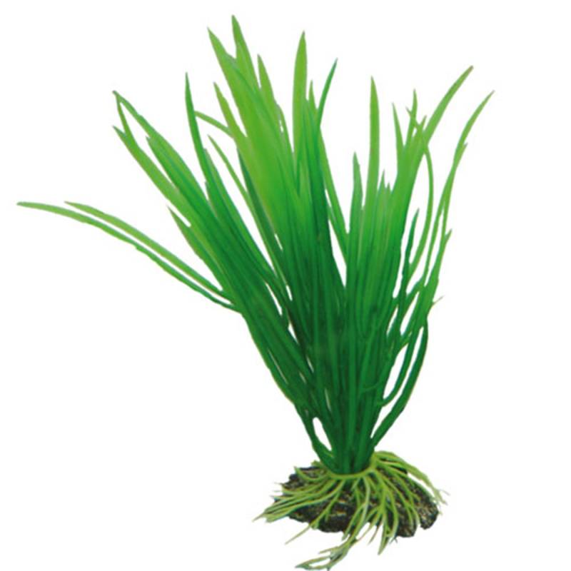 Hobby Aquariumdekoration Cyperus 16 cm von Hobby Aquaristik