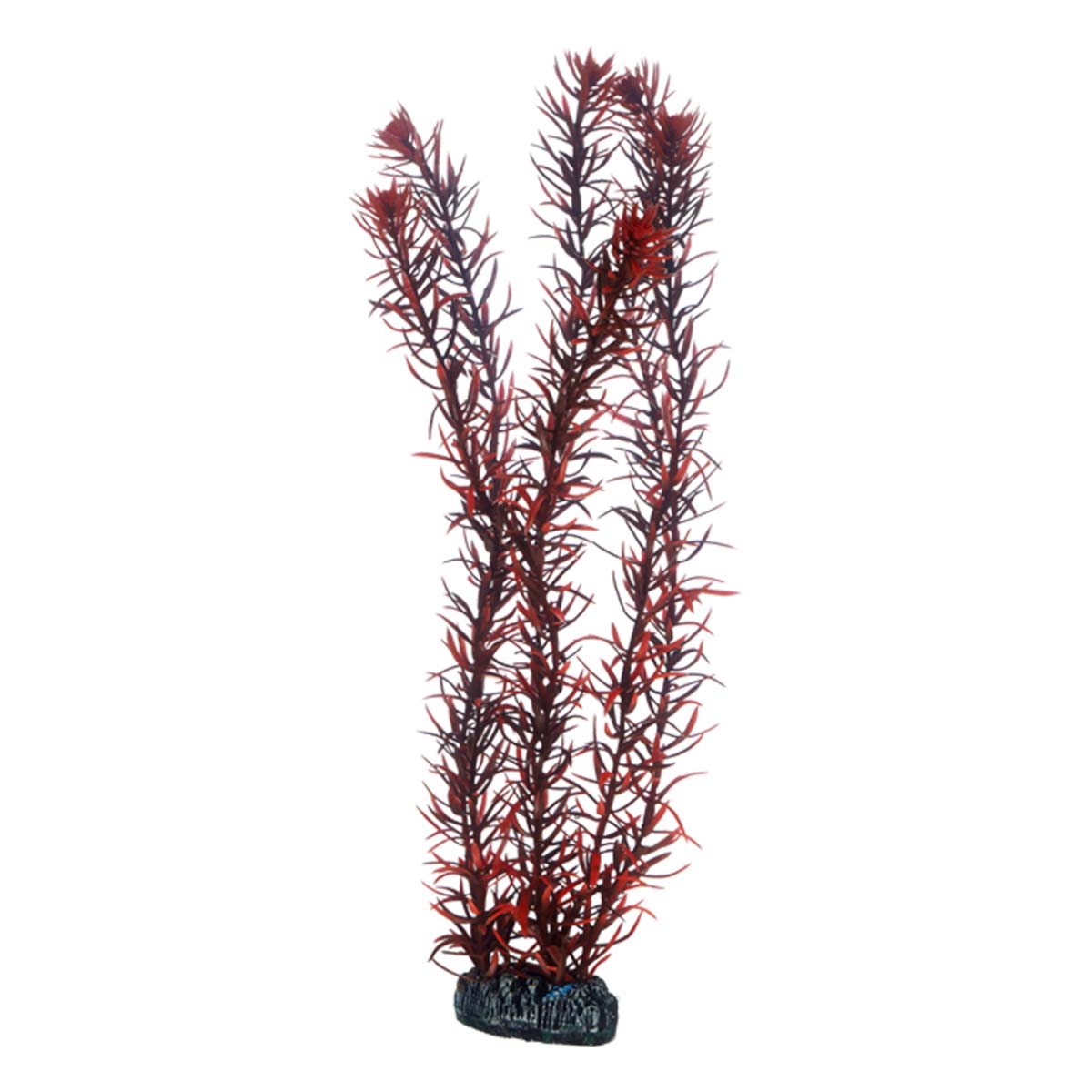 Hobby Aquariumdekoration Eusteralis 39 cm Hobby Aquariumdekoration Eusteralis 39 cm von Hobby Aquaristik