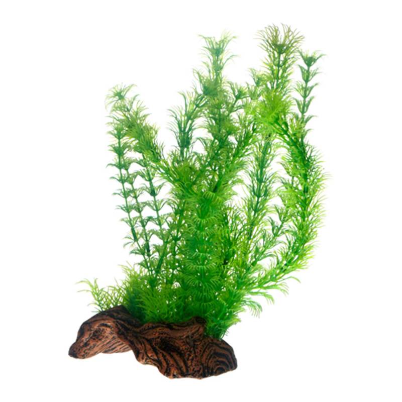 Hobby Aquariumdekoration Flora Root 3 L: 30 cm von Hobby Aquaristik