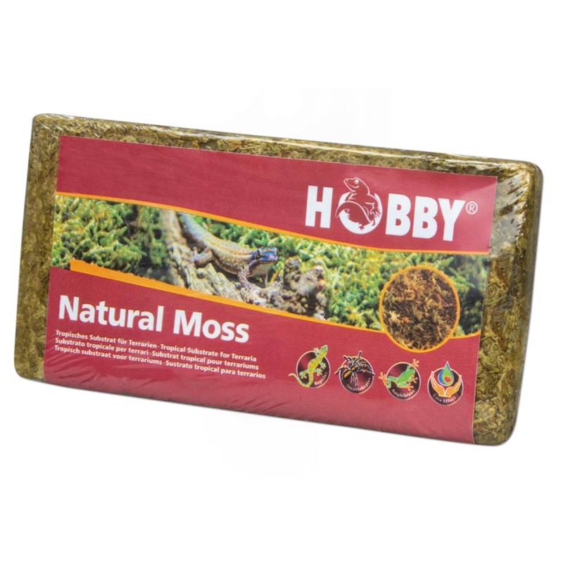 Hobby Natural Moss 100g von Hobby Terraristik