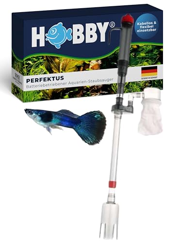 Hobby Batterie-Perfektus - Batteriebetrieben von Hobby